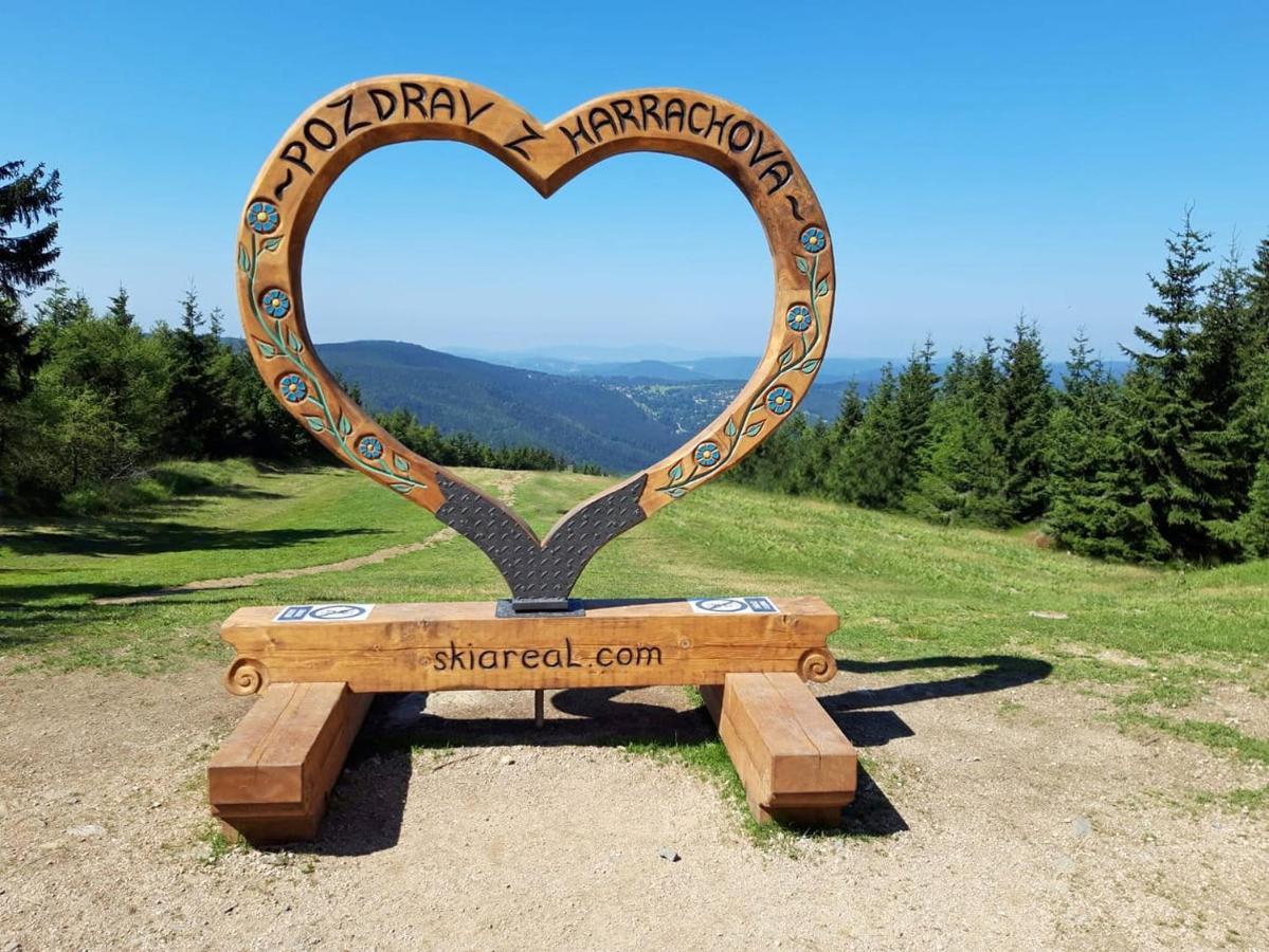 Enjoyharrachov - Atraktivni Klidny Klimatizovany Apartman 20 V Centru Harrachova S Parkovanim, Wifi-Wlan, Sat, Herni Konzoli, Ipad, Netflix Zdarma, Moznosti Dobijeni Auta, Vyhledem Do Zahrady A Na Romanticky Kostelik ภายนอก รูปภาพ